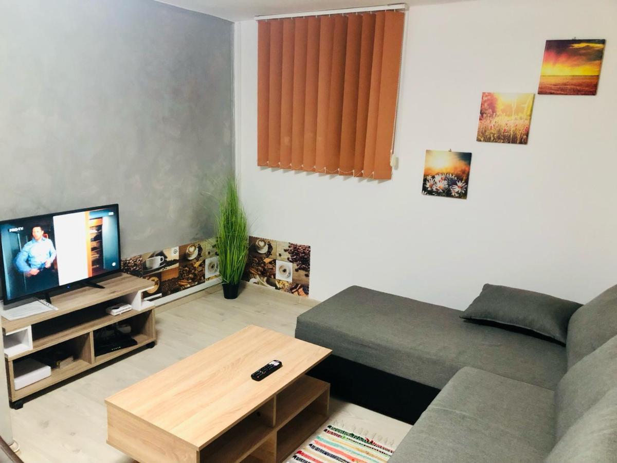 Central Park - Big Apartment - 3 Rooms - Free Parking T5 Temešvár Exteriér fotografie