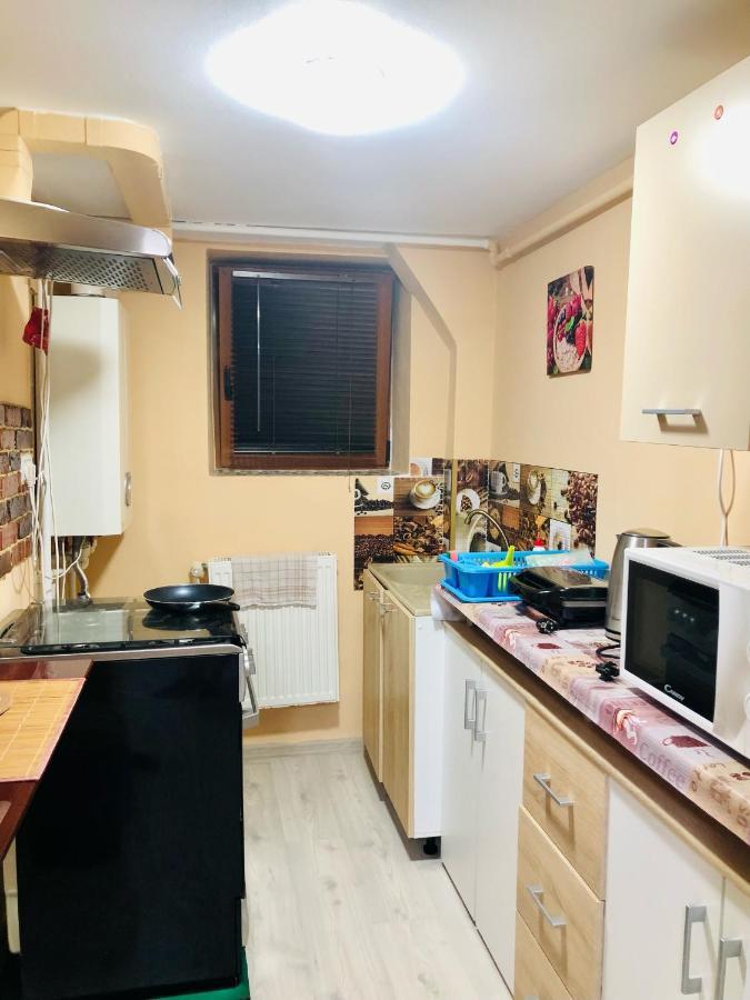 Central Park - Big Apartment - 3 Rooms - Free Parking T5 Temešvár Exteriér fotografie