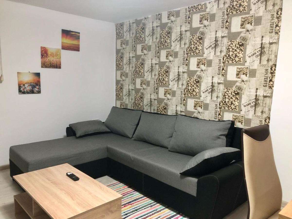 Central Park - Big Apartment - 3 Rooms - Free Parking T5 Temešvár Exteriér fotografie