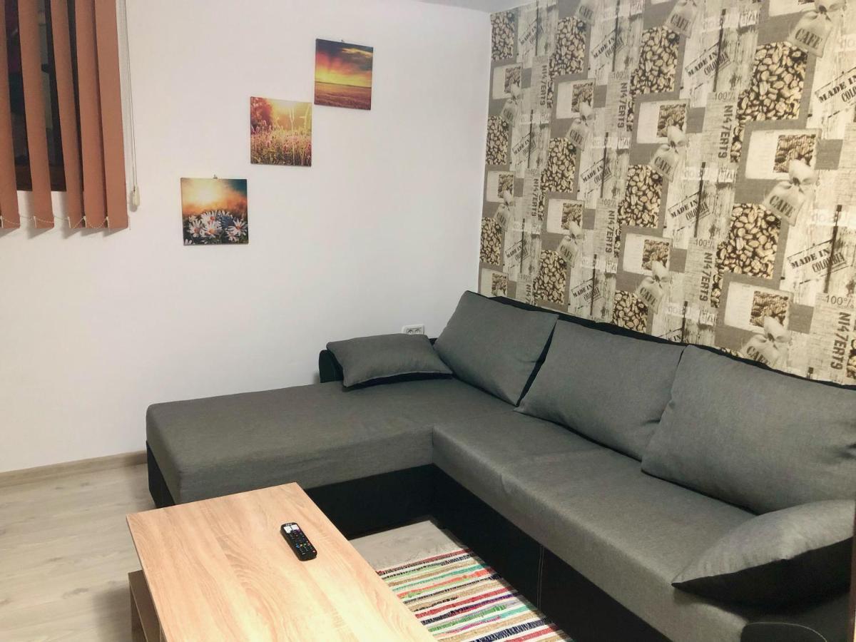 Central Park - Big Apartment - 3 Rooms - Free Parking T5 Temešvár Exteriér fotografie
