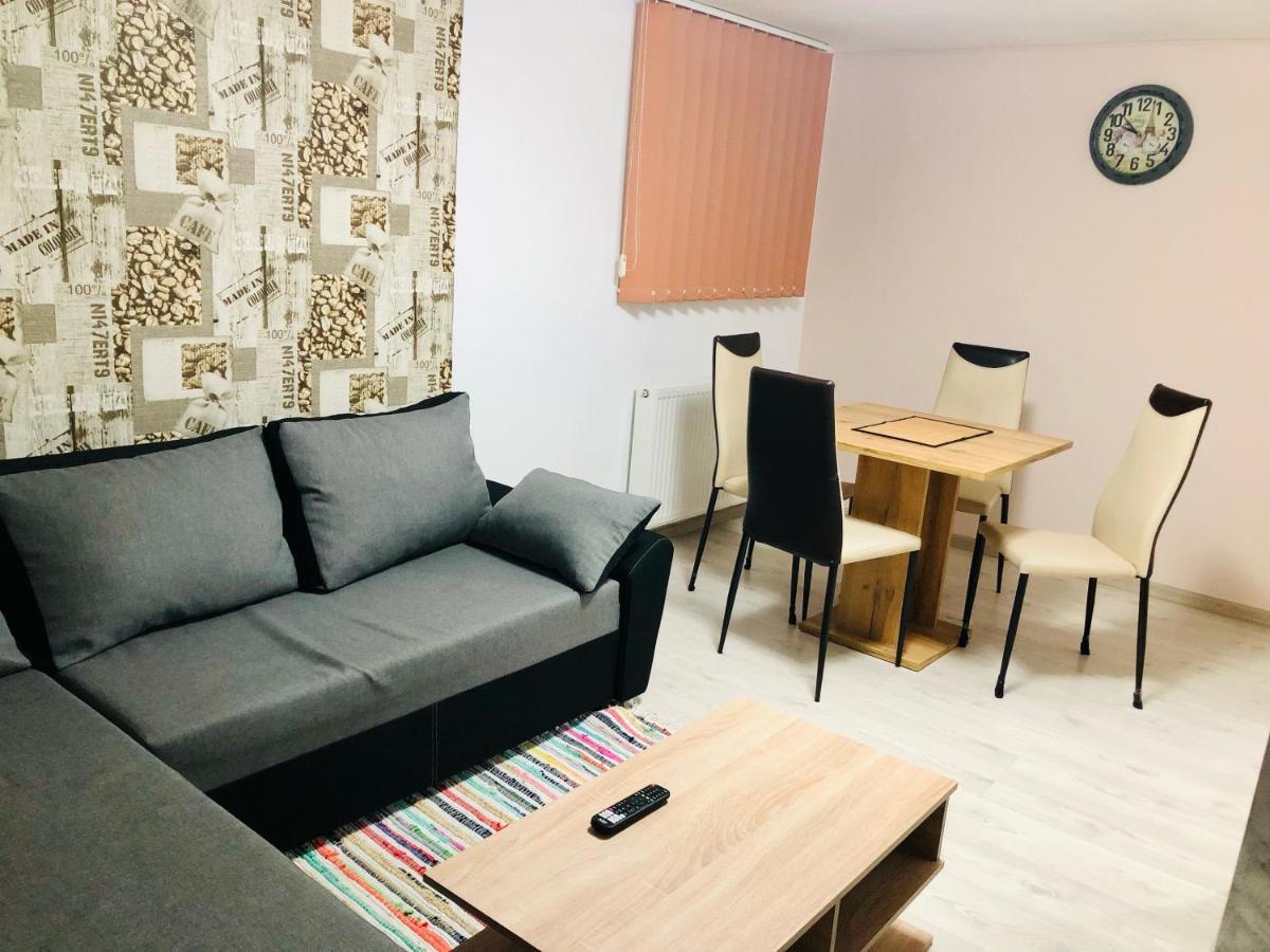 Central Park - Big Apartment - 3 Rooms - Free Parking T5 Temešvár Exteriér fotografie